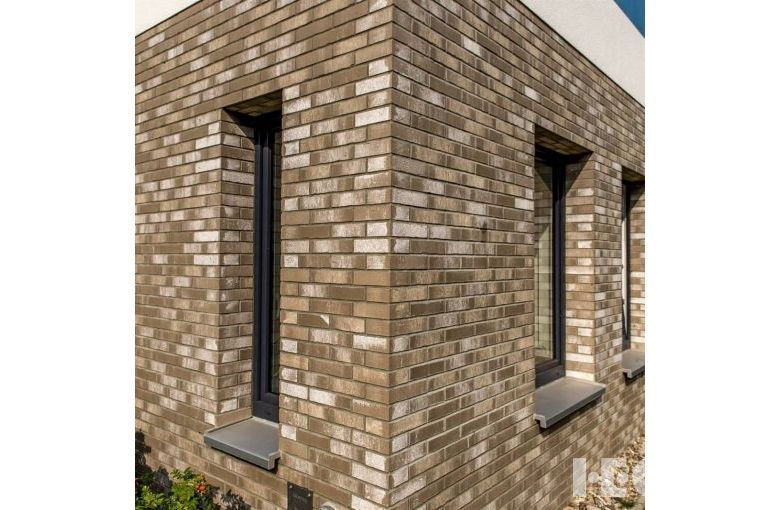 Клинкерная плитка Feldhaus Klinker R772 vascu argo luminos