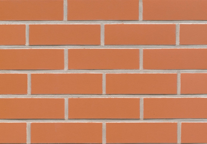 Клинкерная плитка Feldhaus Klinker R220 terracotta liso